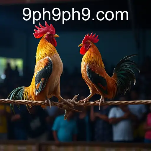 The Rise of Online Sabong: The Fascinating World of Cockfighting in the Digital Era